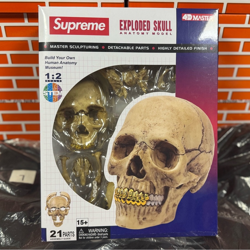💀Supreme 4D Model Human 💀